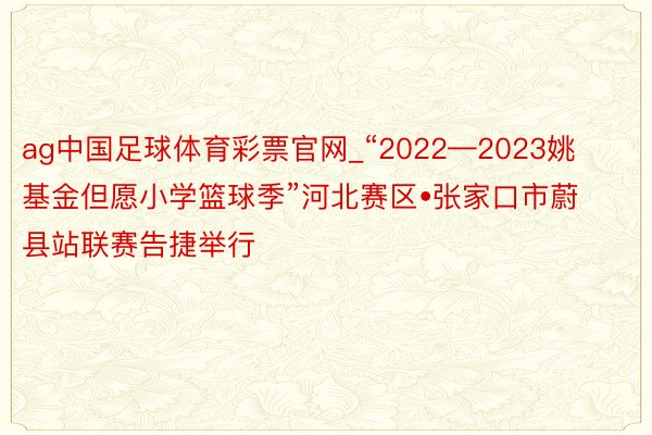 ag中国足球体育彩票官网_“2022—2023姚基金但愿小学篮球季”河北赛区•张家口市蔚县站联赛告捷举行