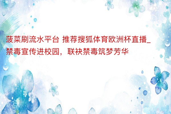 菠菜刷流水平台 推荐搜狐体育欧洲杯直播_禁毒宣传进校园，联袂禁毒筑梦芳华